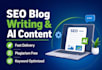 write SEO optimized blog posts and articles using ai