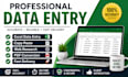 do accurate data entry, excel data entry, copy paste and web research