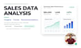 provide sales data analysis, data visualization and business insights reporting