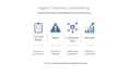provide agile delivery and project management consulting