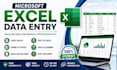 do accurate microsoft excel data entry professionally