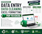 do data entry, data cleaning excel formatting