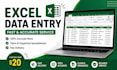 do excel data entry and spreadsheet organization