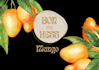 design professional canva labels flyers and generate barcodes