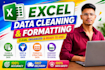 do professional excel data cleaning and formatting