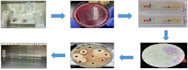 write and edit your scientific research papers and articles