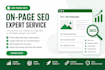 do professional website audit and on page SEO optimization