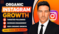do fast organic instagram growth and engagement