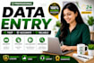 professional data entry services