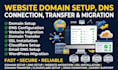 do website domain set up, dns set up, connection and website migration