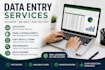 do accurate data entry, typing and copy paste work