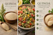 create canva sochial media post