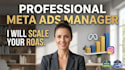 setup and manage high converting meta ads for your e commerce brand