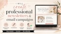 create a professional newsletter or email campaign