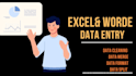 cleaning,format,split excel data  and words data
