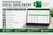 excel data entry and spreadsheet formatting