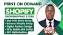 set up professional shopify print on demand dropshipping store with printify