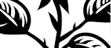 design blackwork tattoo illustration