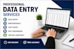 provide professional data entry, web research