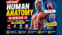 create medical anatomy videos with voiceover