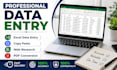 professional data entry, excel data entry,