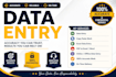 do accurate data entry, copy paste and PDF to excel