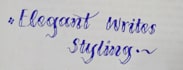 write plagiarism free assignments