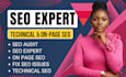 seo expert, on page, technical error, google indexing, 404 error fix, bug fixing