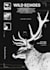 atmospheric monochrome poster artwork