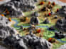 design a custom 3d isometric map or realistic map illustration