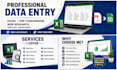 do professional data entry, excel data cleaning