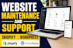 provide website maintenance, support shopify wordpress store