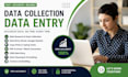 do data collection data entry  image