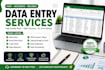 do accurate data entry, copy paste, and excel data entry