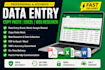 do professional data entry, copy paste, PDF to word and exc