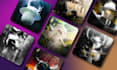 make high quality roblox gfx for your group or personal icon