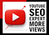 professional youtube SEO to increase views and ranking