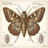 create scientific illustrations for your next project