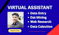 data entry virtual assistant and web scraping with copypaste