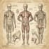 draw a scientific illustration