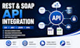 develop and integrate rest and soap apis