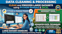 clean and process large datasets using python pandas and excel
