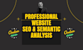 do professional semantic SEO