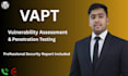 do professional vapt and pentest on website