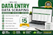 provide virtual assistant services