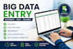 be your big data entry expert