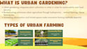 design professional canva presentations and slides