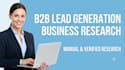 b2b lead generation, data entry