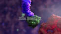 create 3d medical explainer video, 3d medical animation