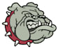 do professional embroidery digitizing with fast delivery